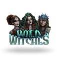 Wild Witches