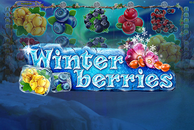 winter_berries