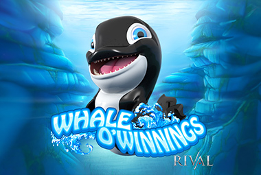 whale-o-winnings-by-rival