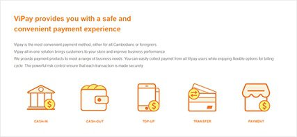 About ViPay