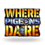 Where Pigeons Dare