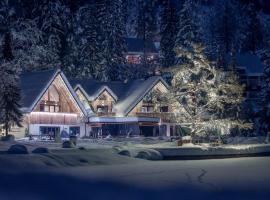 Jasna Chalet Resort，位于克拉尼斯卡戈拉的酒店