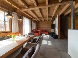 Chalet Brisi