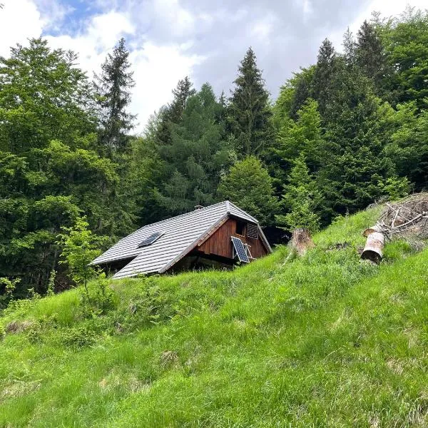 Architect`s Cottage - serenity and greenery in the highlands，位于克拉尼斯卡戈拉的酒店