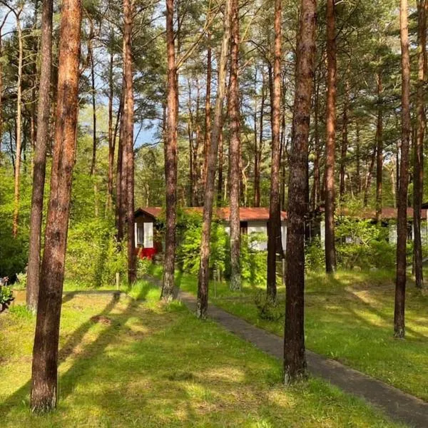 Bungalow im Kiefernwald direkt an der Ostsee (b)，位于奥斯特西巴德钦诺维茨的酒店