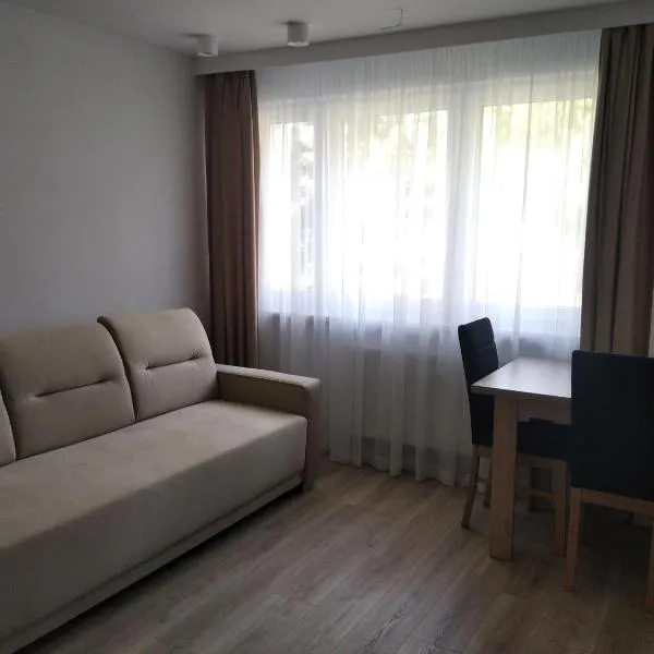 Apartament ZDRÓJ，位于布斯克·兹德鲁伊的酒店