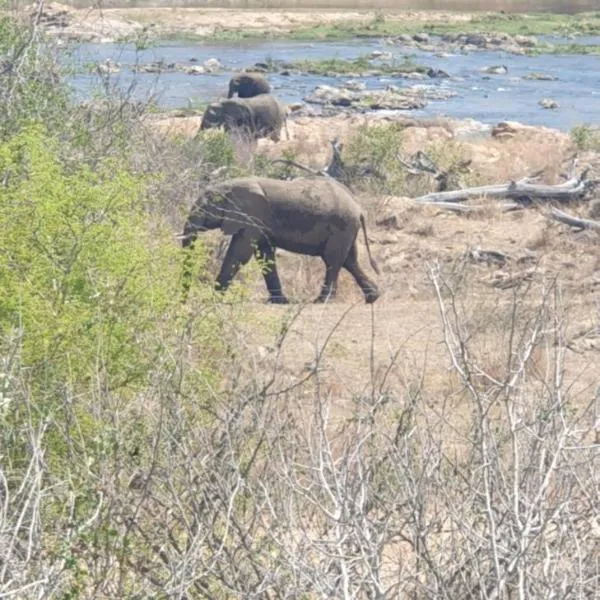 Stoep At Kruger，位于科玛蒂普特的酒店