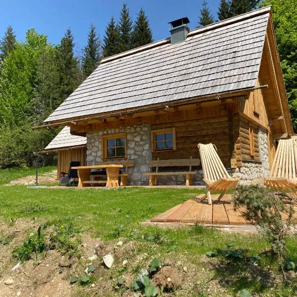 Lovely Cottage in a mountain wilderness of the National Park，位于克拉尼斯卡戈拉的酒店