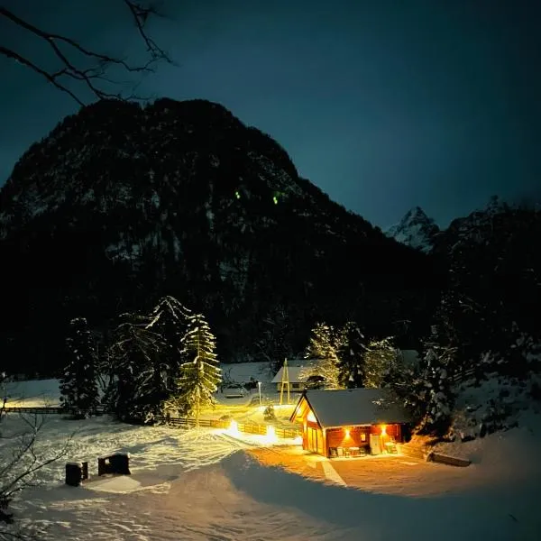 Radovna Chalet with Panoramic View，位于克拉尼斯卡戈拉的酒店