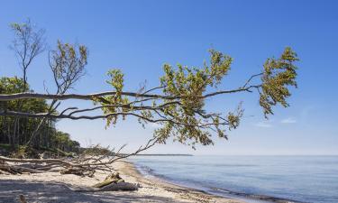 Fischland-Darß-Zingst的海滩短租房