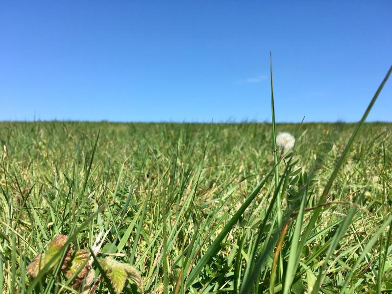 Checked in at Sheepcote Valley. Lying in the grass on a hillside — with Jessica