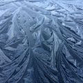 Patterns of frost on the front of cars this morning.