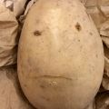 Creepy potato.