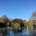 Checked in at Queen's Park. The pond in the park — with Jessica