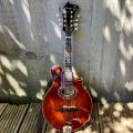 Sitting in the sunshine, playing tunes on my mandolin. ☀️ 🎶