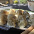 Gyoza in the garden. 🥟 🥢