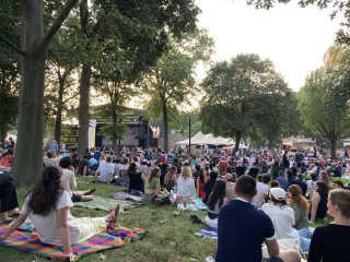 Prospect Park in Brooklyn filled with people on blankets listening to a free concert by John Cale.