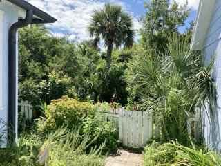 A lush and verdant jungle of green enveloping a garden path on a hot sunny day.