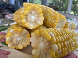 A plate of corn on the cob.