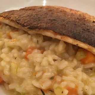 Sea bass on butternut squash risotto.