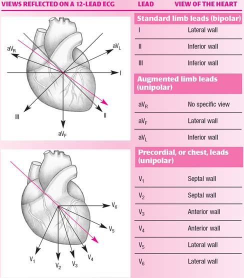 12 Lead EKG Heart