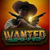 Wanted Dead or A Wild: Paylines, Symbols, RTP &#038; Free Play