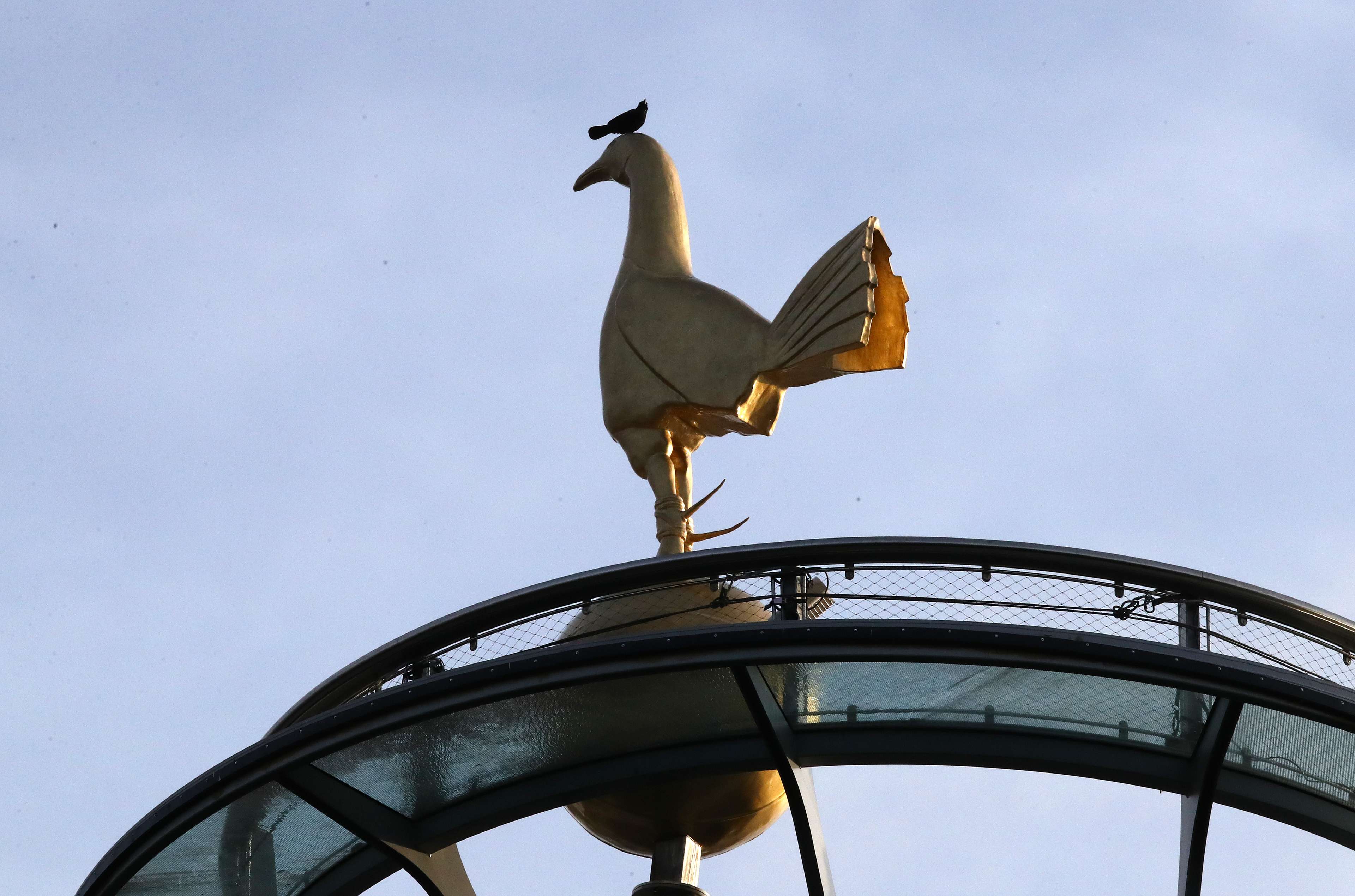 Tottenham Hotspur Logo