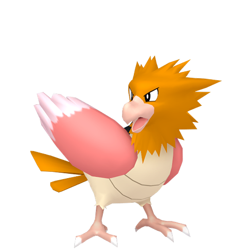 Spearow