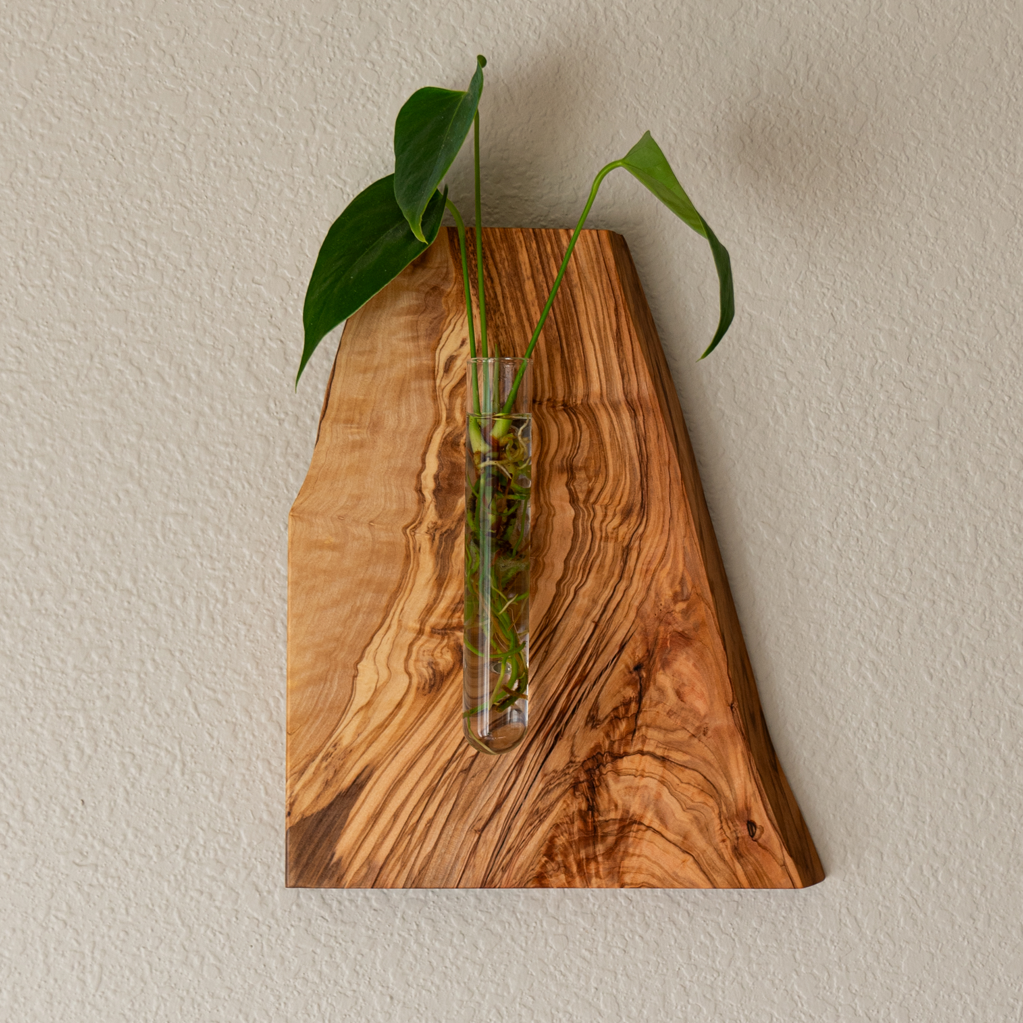 Hanging Propagation Vase