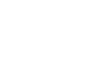 SAFE logo