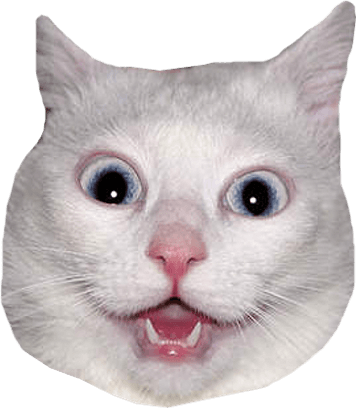 White Cat Head Meme