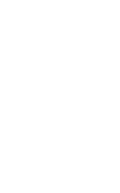 NEC