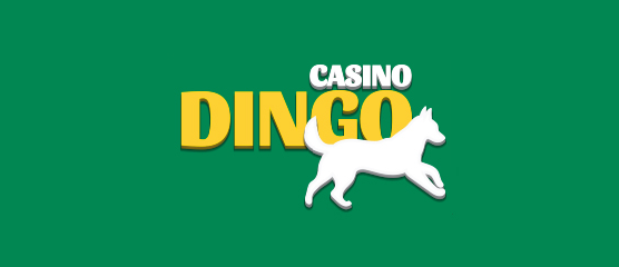 Casino Dingo