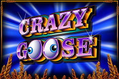 Crazy Goose