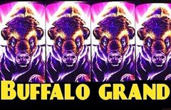 Buffalo Grand