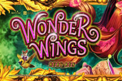 Wonder Wings