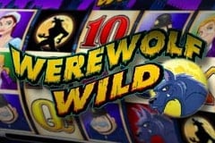 Werewolf Wild