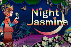 Night Jasmine