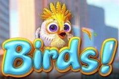 Birds! | Best for Unique Pay Mechanic