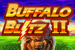 Buffalo Blitz II