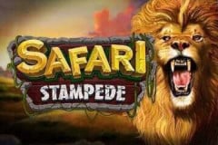 Safari Stampede