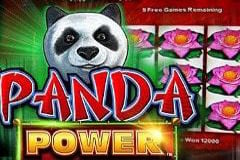 Panda Power