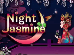 Night Jasmine