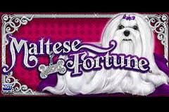 Maltese Fortune