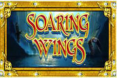 Soaring Wings