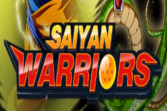 Saiyan Warriors