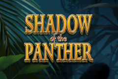 Shadow of the Panther