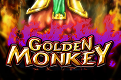 Golden Monkey