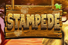 Stampede | Best for Mobile Play
