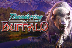 Thundering Buffalo